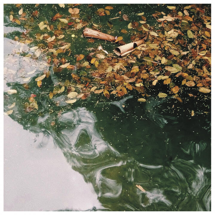 Casa Cantora: Música para atardecer (2018)