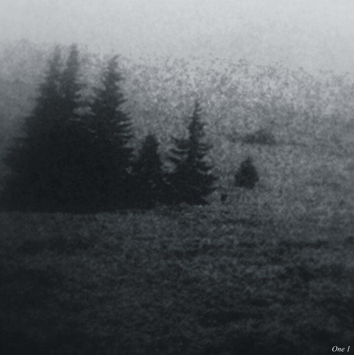 (Syncope) (2008)