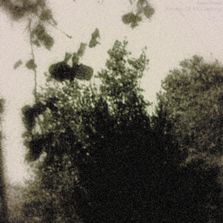 Dreams of all Creatures (2007)