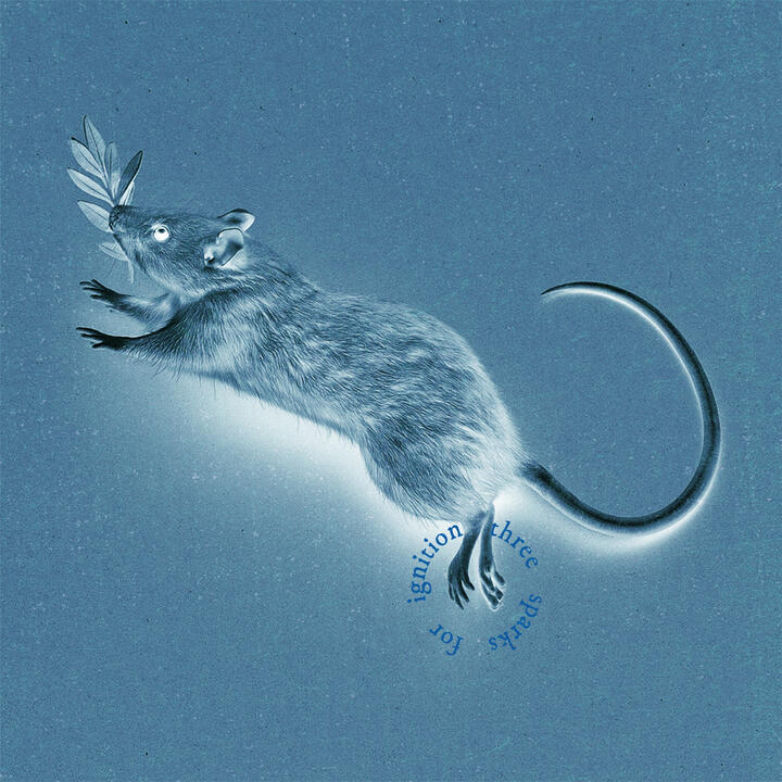 Three sparks for ignition